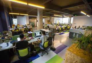 河南仓鼠鼠粮OEM