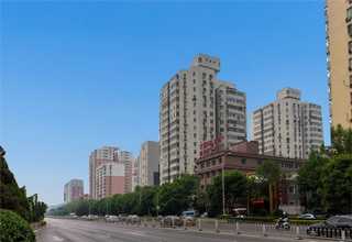 广州增城区干净的蔬菜配送公司能提供什么服务