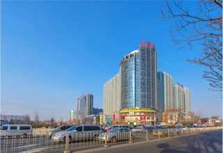 传统文化夏令营怎么样